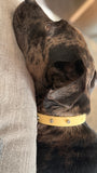 Collar